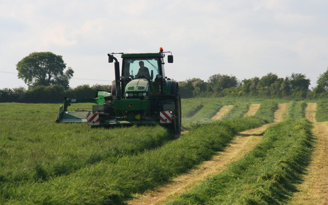 Silage Preservation: Time to get serious about quality
