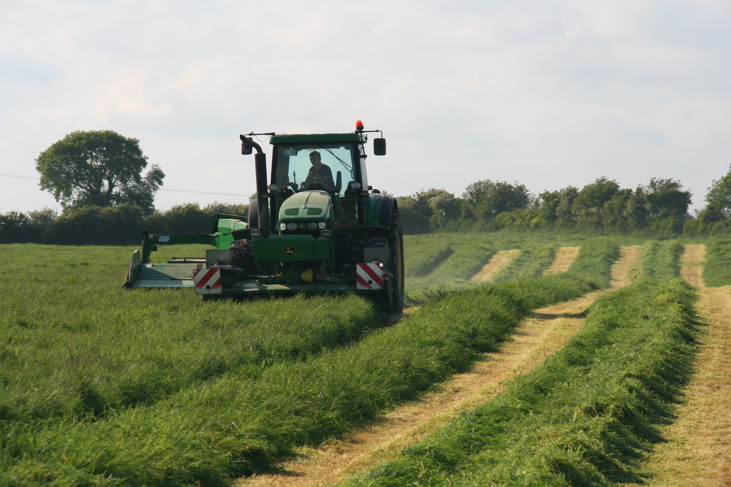 Silage Preservation Time To Get Serious About Quality Agritech