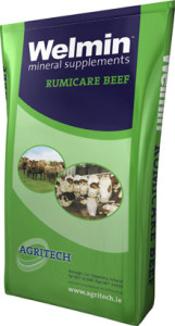 Welmin Rumicare Beef - Welmin Beef Mineral Supplements