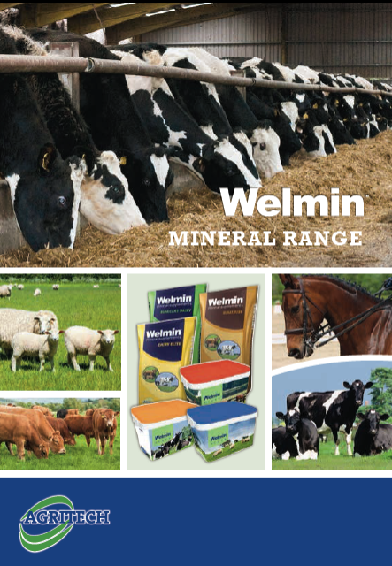 View new Welmin Mineral booklet