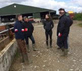Discussing heifer rearing on Albert Purcell’s farm with Stephen Hennessy (International Sales Manager), Geoff Irish (AusPac Ingredients) and Tom Thorn (Total Result Ag Consulting).