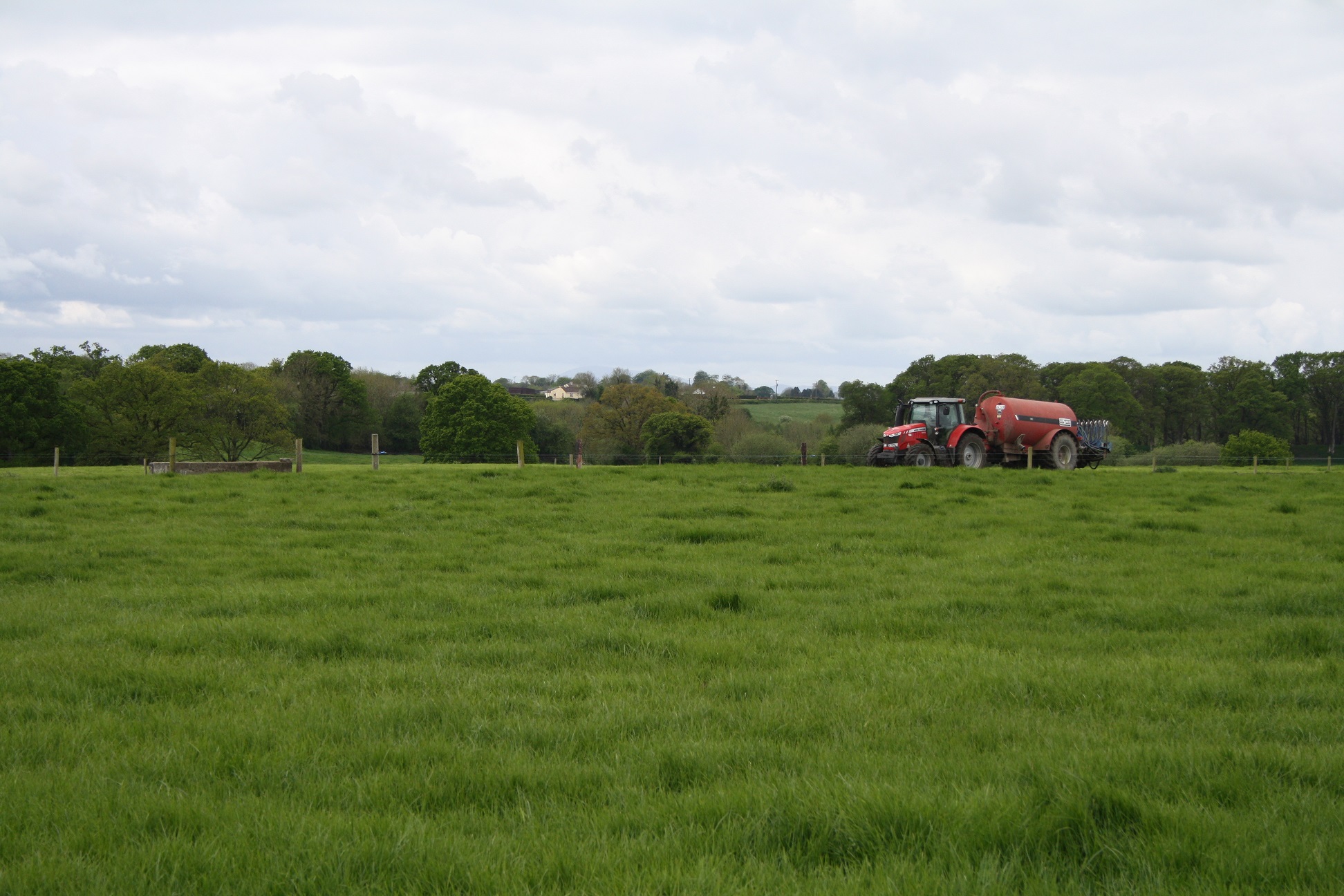 Silage