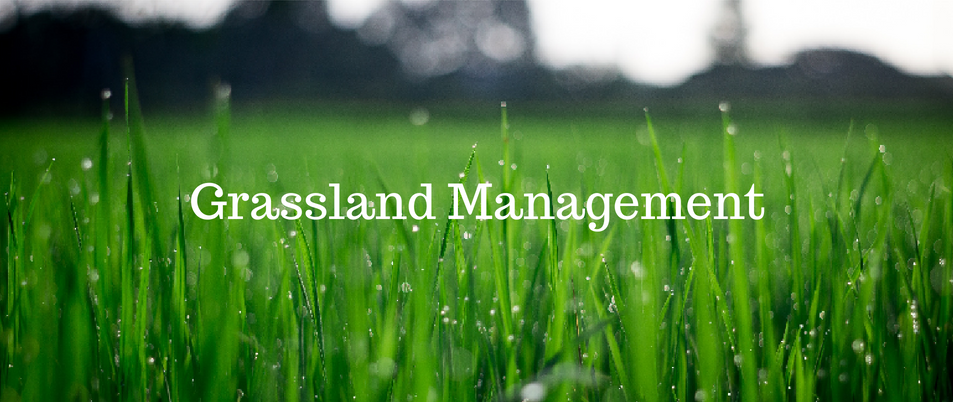 grassland-management