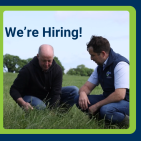 We're Hiring