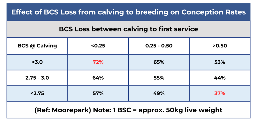 Preparing Your Herd For Spring 2024 Agritech   AGRITECH WEB 1920 × 1080 Px 1 1 E1703155605958 1080x512 