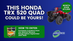 Honda Trx Quad Bike