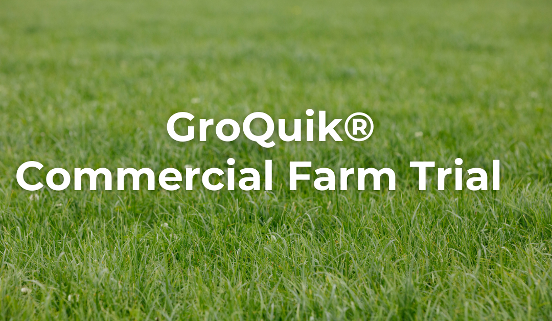 Agritech Farm Trial (8)