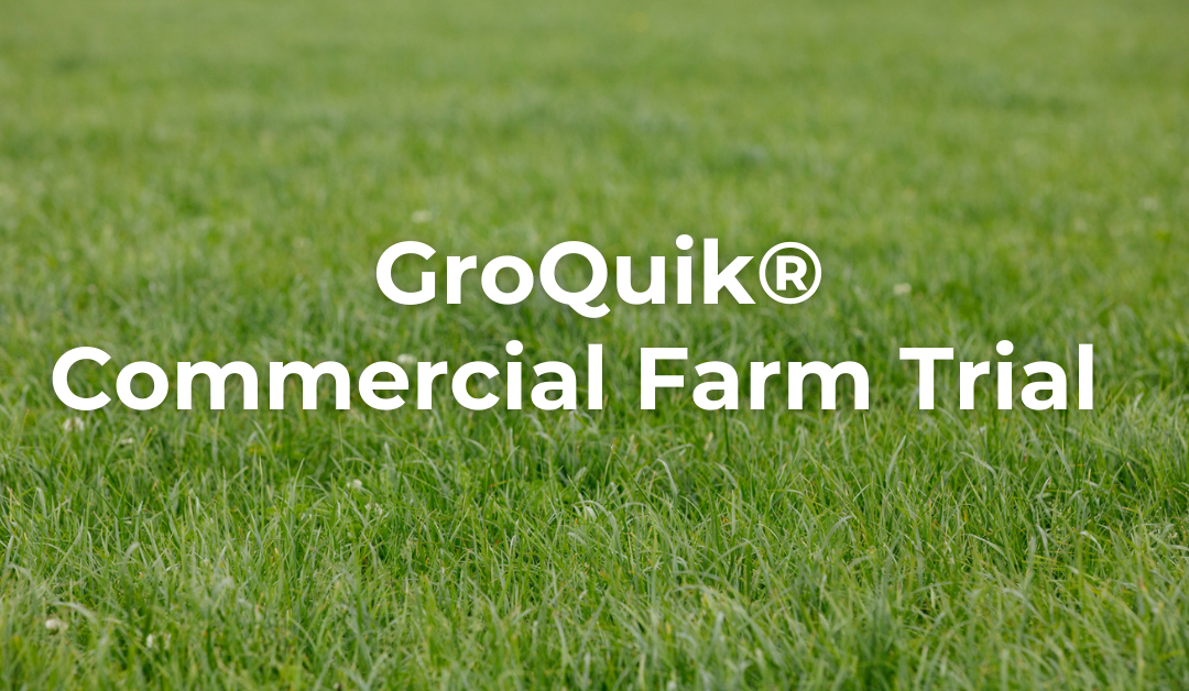 Agritech Farm Trial (9)
