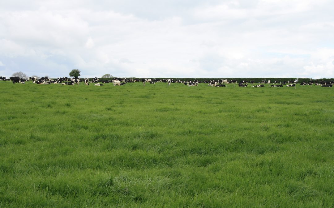 Reseeding – Deciding which approach works best