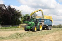 Combine harvester harvesting silage field