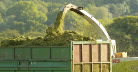 Silage trailer being filled with grass silage from harvester