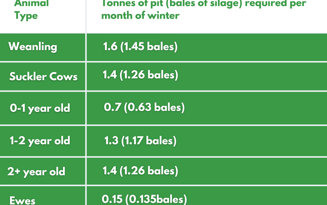 Silage requirements