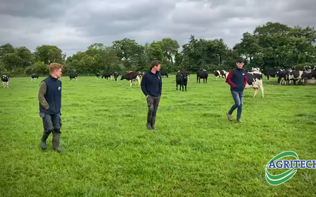 Milk Shack innovators find success with Tipperary Grass 4A