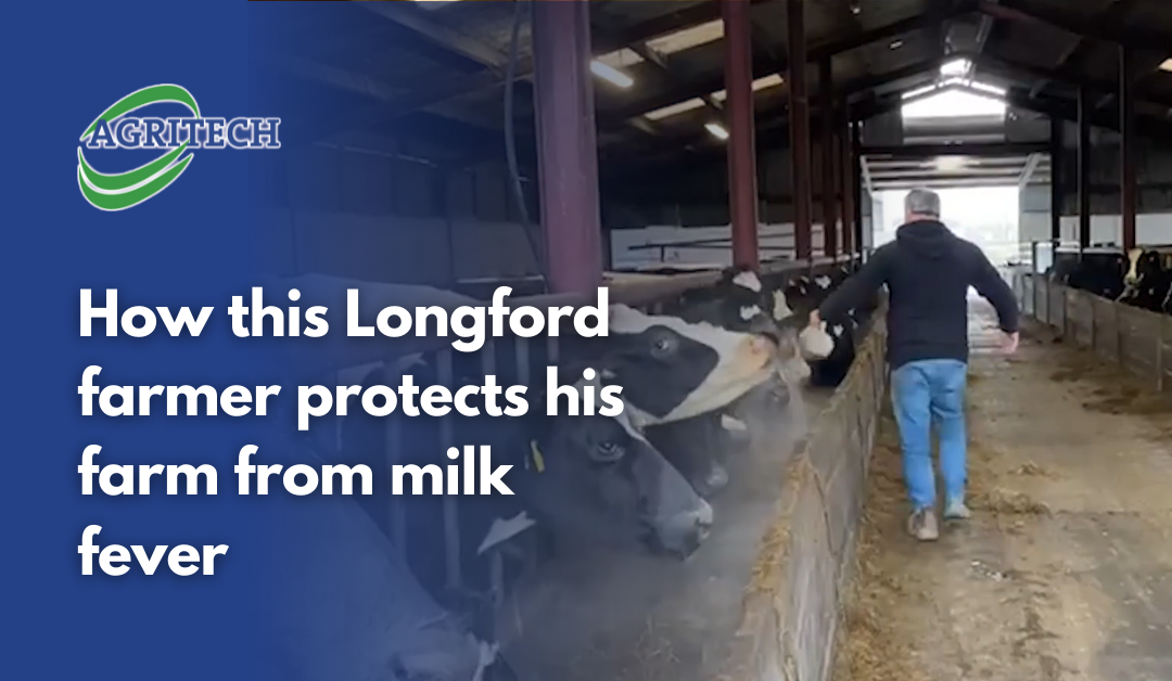 How this Longford farmer protects his farm from milk fever