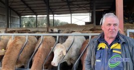 Farmer discusses Rumicare buffer in interview
