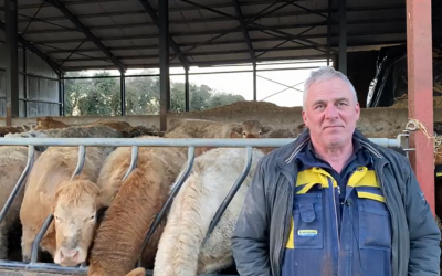 “We have cut lameness completely out of the herd”