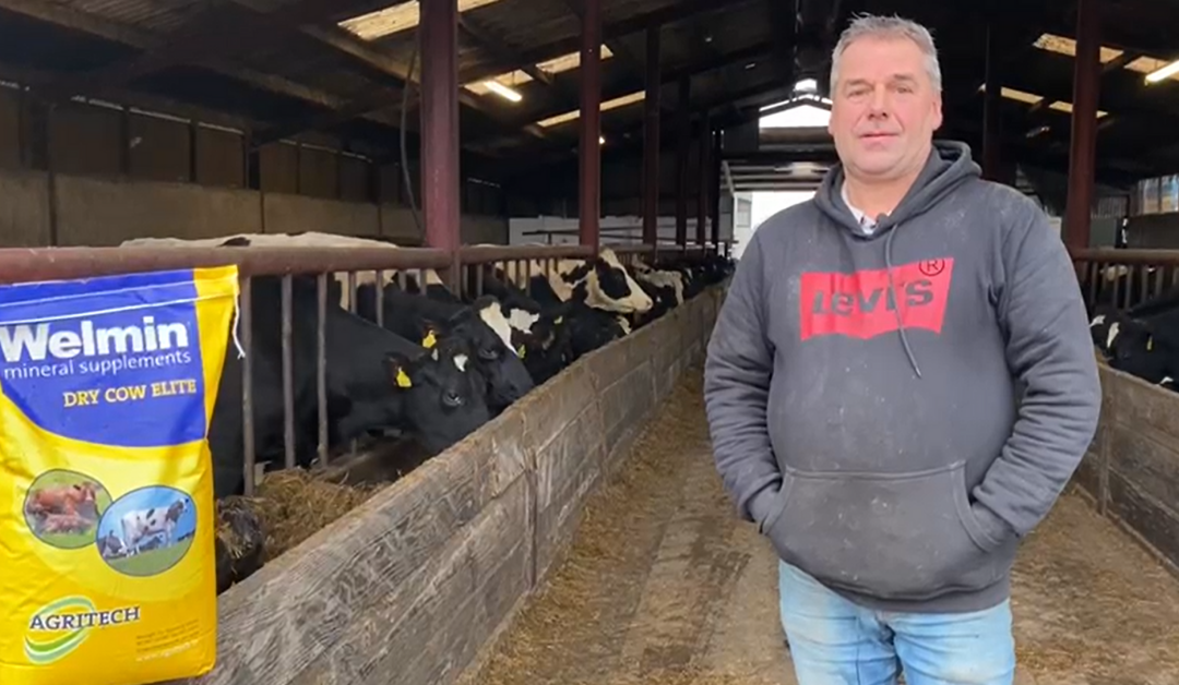 How this Longford farmer protects his herd from milk fever