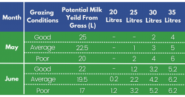 Typical feeding rates for dairy cows at grass - table