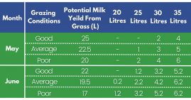 Typical feeding rates for dairy cows at grass - table
