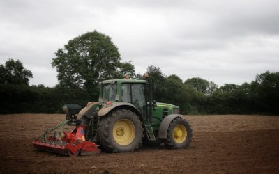 Reseeding During Mid-Season