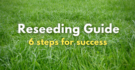 reseeding guide graphic