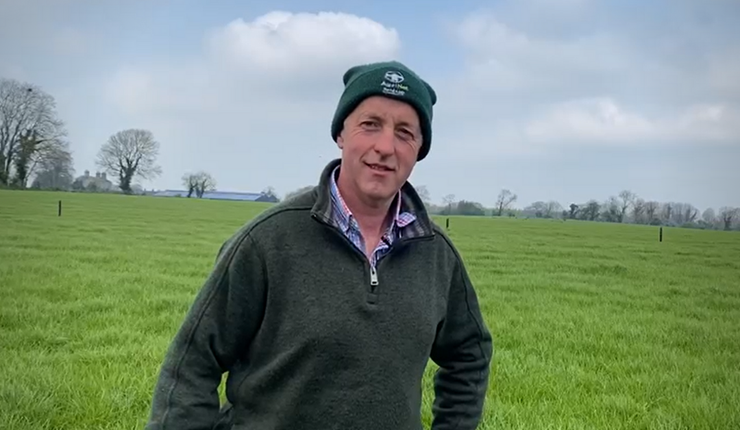 Reseeding: Meath farmer benefits from higher inclusions of tetraploids