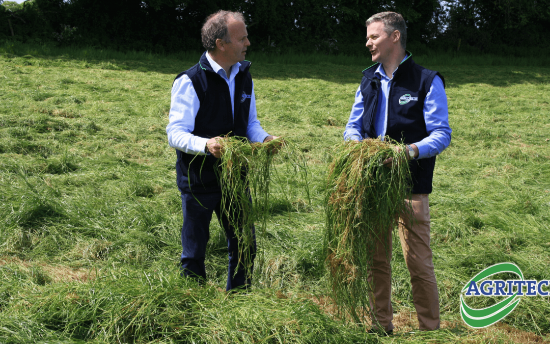 Key considerations for silage harvesting