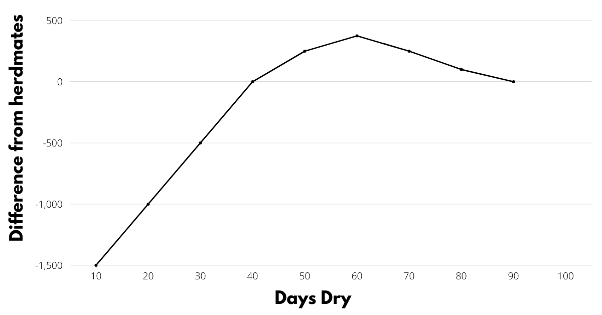 graph highlighting the impact of the length of the dry period on milk output
